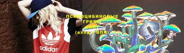 гидра Осинники