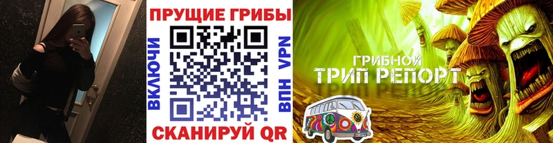 Псилоцибиновые грибы мухоморы  наркотики  Красноярск 