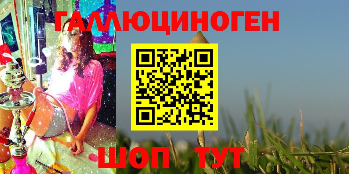 Псилоцибиновые грибы Psilocybine cubensis  Псилоцибиновые грибы Psilocybine cubensis  Красноярск 