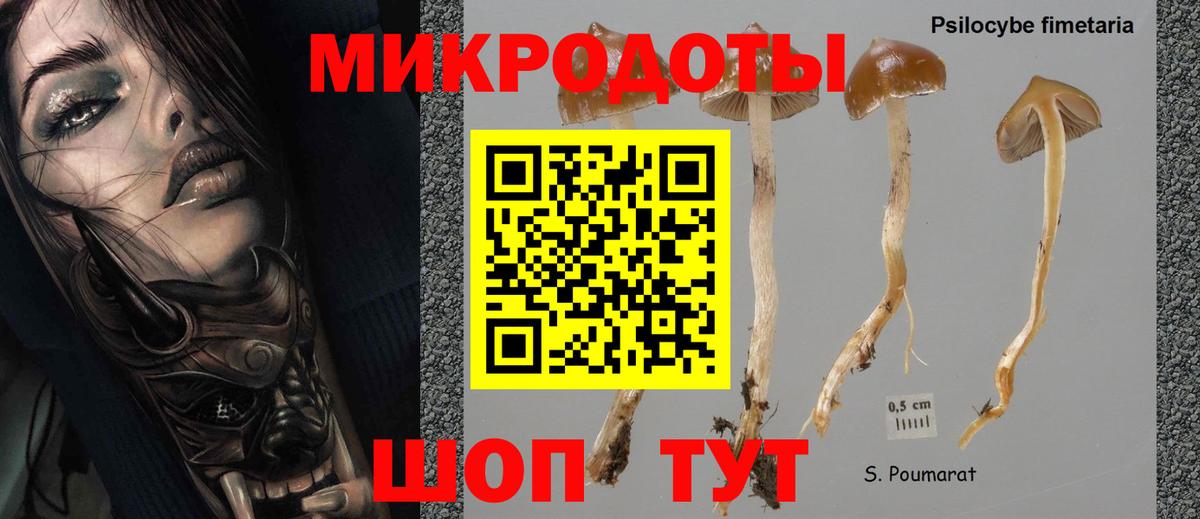 Псилоцибиновые грибы ЛСД Красноярск